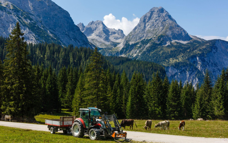 Récolte des récoltes par tracteur rouge dans les champs de montagnes vertes alpines autrichiennes.