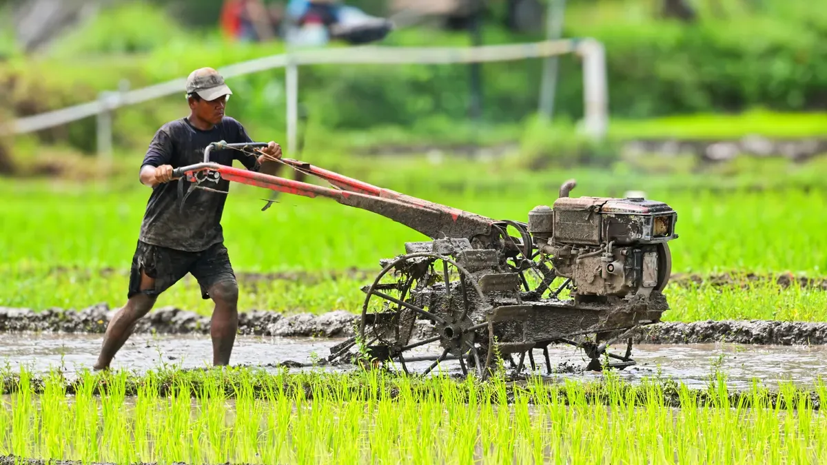 Combien co&ucirc;te un transplanteur de riz ?